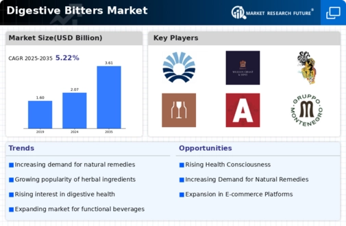 Digestive Bitters Market Research Report — Global Forecast till 2032 Infographic
