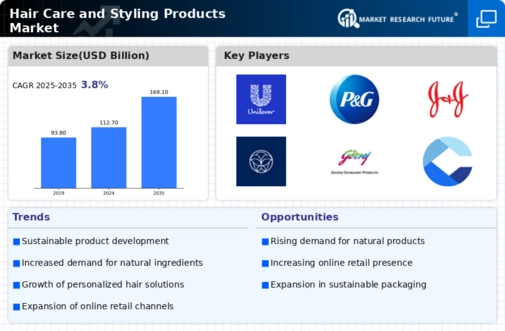 Hair Care and Styling Products Market Research Report — Global Forecast till 2034 Infographic