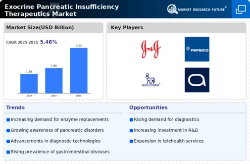 Exocrine Pancreatic Insufficiency Therapeutics Market Research Report - Forecast till 2034 Infographic
