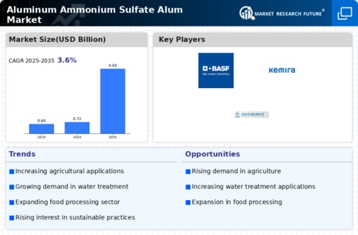 Aluminum Ammonium Sulfate Alum Market Size, Share 2034 Infographic