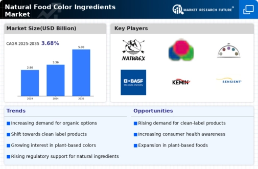Natural Food Color Ingredients Market Research Report-Forecast to 2035 Infographic