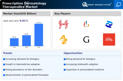 Prescription Dermatology Therapeutics Market Research Report — Global Forecast till 2034 Infographic