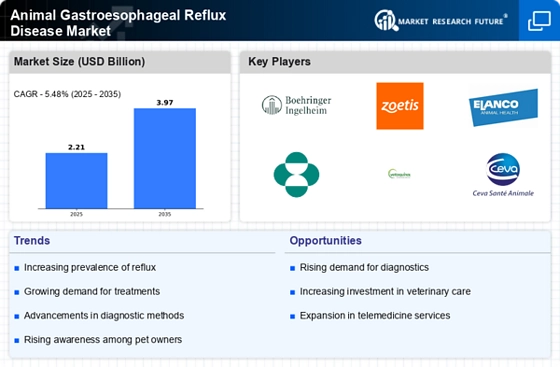 Animal Gastroesophageal Reflux Disease Market Infographic