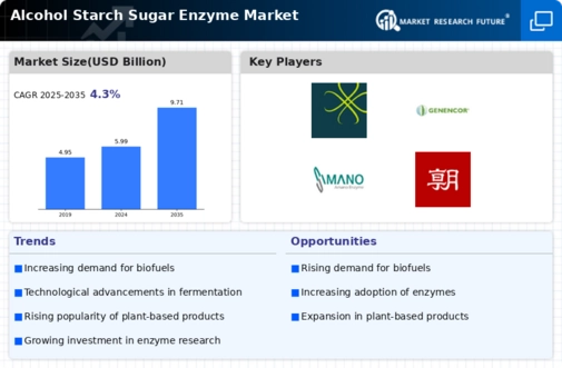 Alcohol Starch Sugar Enzyme Market Research Report — Global Forecast till 2032 Infographic