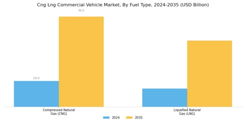 Cng Lng Commercial Vehicle Market Segment Image 0