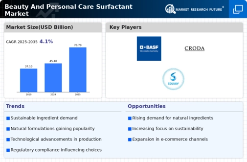 Beauty and Personal Care Surfactant Market Research Report- Global Forecast till 2034 Infographic