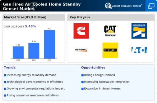 Gas Fired Air Cooled Home Standby Genset Market Infographic