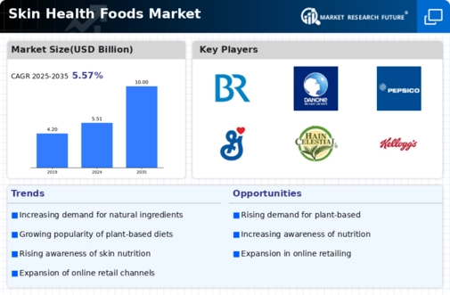 Skin Health Foods Market Research Report — Global Forecast till 2032 Infographic