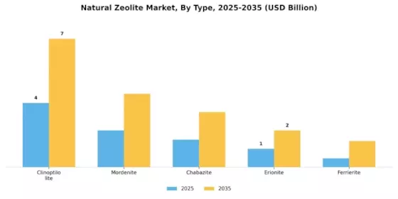 Natural Zeolite Market Segment Image 0