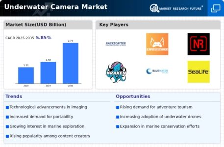 Underwater Camera Market Infographic