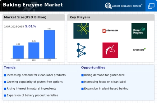 Baking Enzyme Market Research Report — Global Forecast till 2032 Infographic
