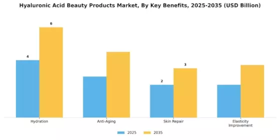 Hyaluronic Acid Beauty Products Market Segment Image 4