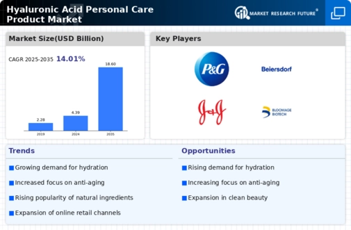 Hyaluronic Acid Personal Care Product Market Research Report — Global Forecast till 2034 Infographic