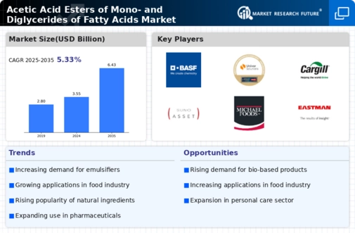 Acetic Acid Esters of Mono- and Diglycerides of Fatty Acids Market Research Report — Global Forecast till 2032 Infographic