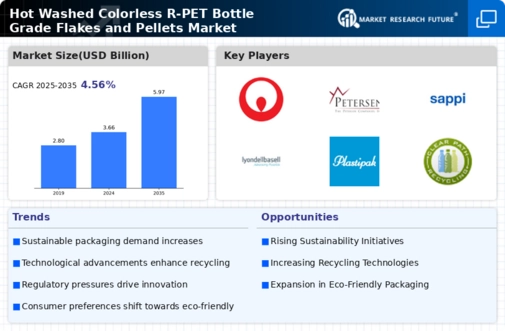 Hot Washed Colorless R-PET Bottle Grade Flakes and Pellets Market Research Report — Global Forecast till 2034 Infographic