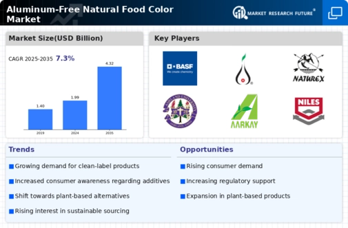 Aluminum Free Natural Food Color Market Research Report — Global Forecast till 2032 Infographic