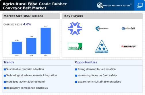 Agricultural Food Grade Rubber Conveyor Belt Market Research Report — Global Forecast till 2034 Infographic
