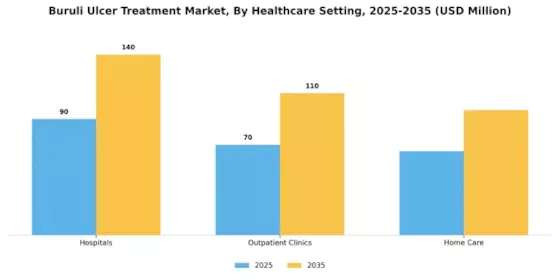 Buruli Ulcer Treatment Market Segment Image 3
