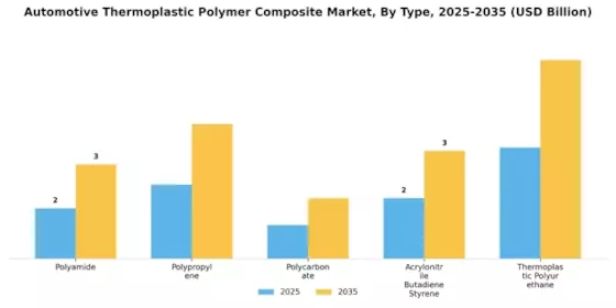 Automotive Thermoplastic Polymer Composite Market Segment Image 1