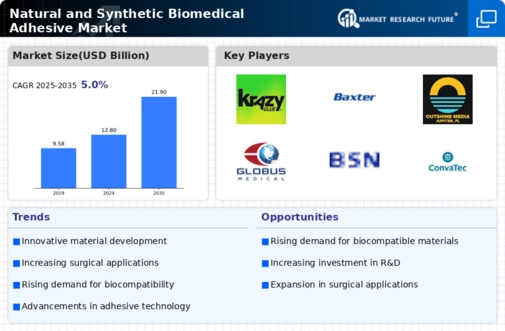 Natural And Synthetic Biomedical Adhesive Market Research Report - Global Forecast by 2034 Infographic