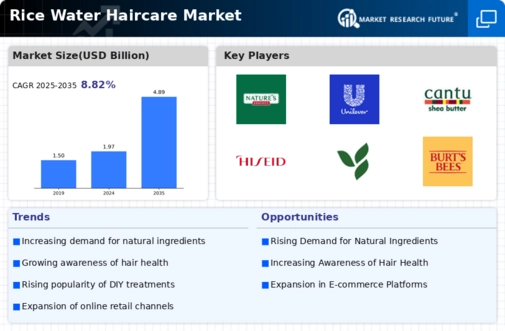Rice Water Haircare Market Research Report — Global Forecast till 2034 Infographic