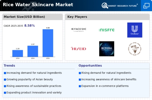 Rice Water Skincare Market Research Report — Global Forecast 
Till 2034 Infographic