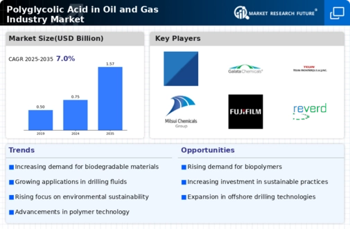 Polyglycolic Acid in Oil and Gas Industry Market Research Report- Global Forecast till 2034 Infographic