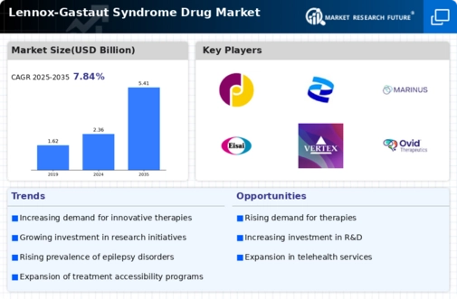 Lennox-Gastaut Syndrome Drug Market Research Report - Forecast till 2034 Infographic