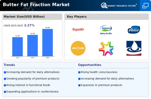 Butter Fat Fraction Market Research Report — Global Forecast till 2032 Infographic