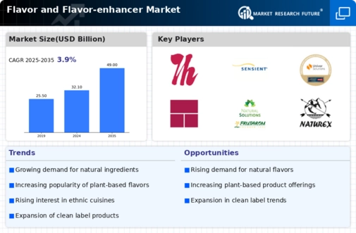 Flavor and Flavor-enhancer Market Research Report — Global Forecast till 2034 Infographic