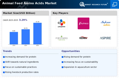 Animal Feed Amino Acids Market Research Report- Global Forecast till 2034 Infographic