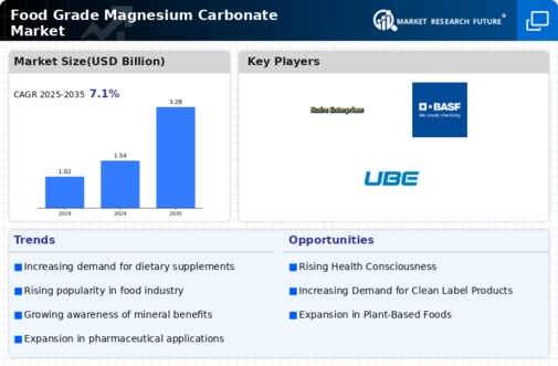 Food Grade Magnesium Carbonate Market Research Report — Global Forecast till 2034 Infographic