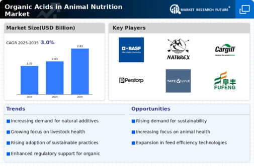 Organic Acids in Animal Nutrition Market Research Report - Global Forecast to 2034 Infographic