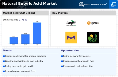 Natural Butyric Acid Market Research Report - Forecast till 2034 Infographic