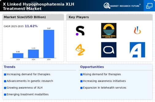 X Linked Hypophosphatemia XLH Treatment Market Research Report — Global Forecast till 2034 Infographic