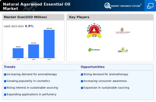 Natural Agarwood Essential Oil Market Infographic