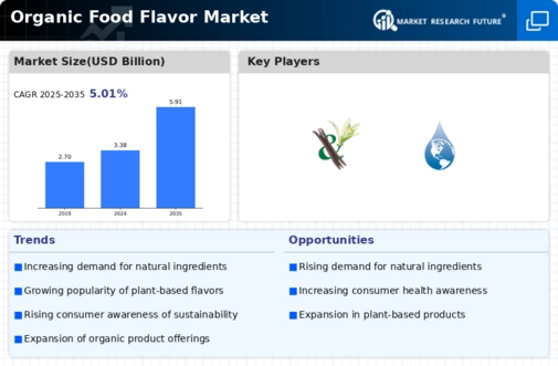 Organic Food Flavor Market Research Report — Global Forecast till 2032 Infographic