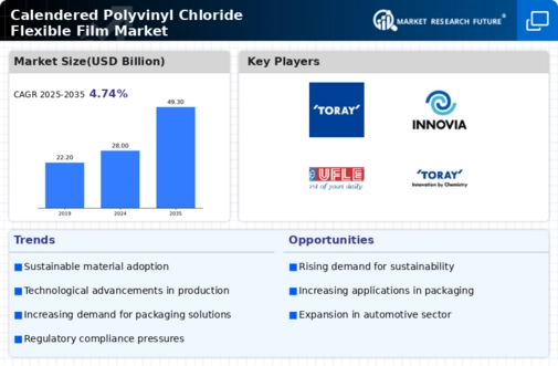 Calendered Polyvinyl Chloride Flexible Film Market Research Report - Global Forecast by 2034 Infographic