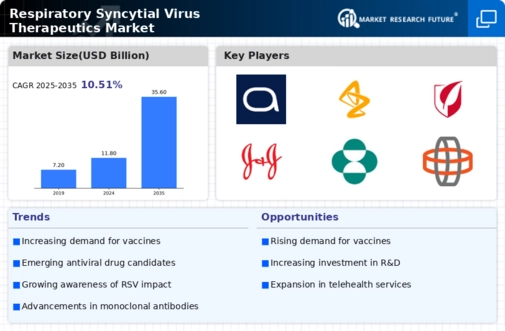 Respiratory Syncytial Virus Therapeutics Market Research Report - Forecast till 2032 Infographic