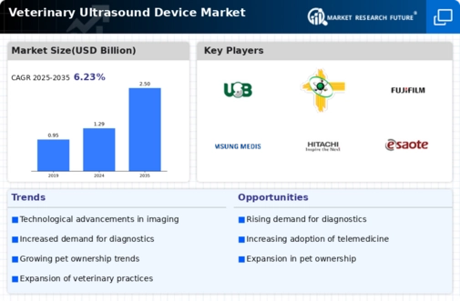 Veterinary Ultrasound Device Market Research Report — Global Forecast till 2035 Infographic