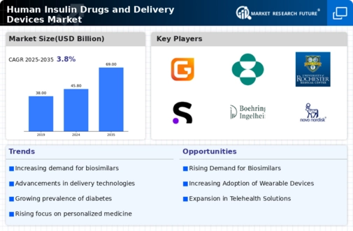 Human Insulin Drugs and Delivery Devices Market Research Report - Forecast to 2035 Infographic