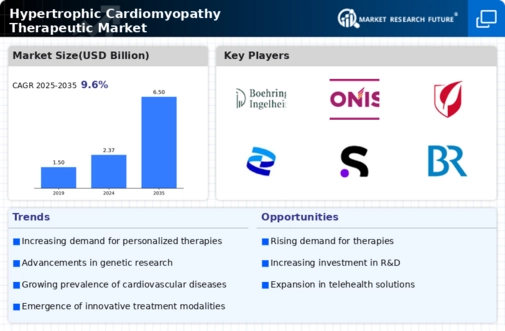 Hypertrophic Cardiomyopathy Therapeutic Market Infographic