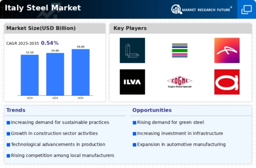 Italy Steel Market Research Report-Forecast till 2035 Infographic