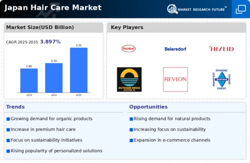 Japan Hair Care Market Research Report — Forecast till 2035 Infographic