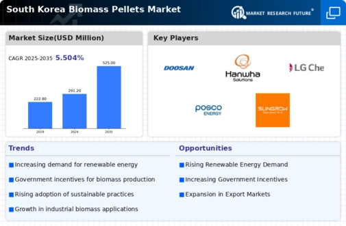 South Korea Biomass Pellets Market Infographic
