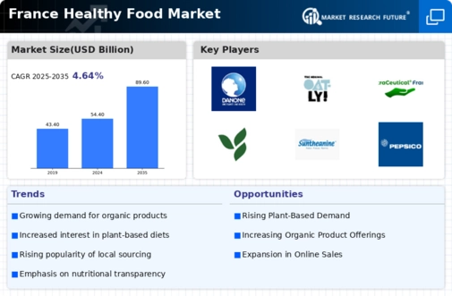 France Healthy Food Market Research Report — Forecast till 2035 Infographic
