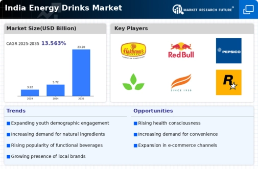 India Energy Drinks Market Research Report - Forecast Till 2035 Infographic