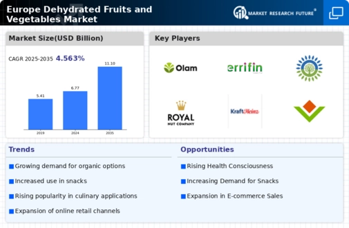 Europe Dehydrated Fruits & Vegetables Market Research Report Forecast to 2035 Infographic