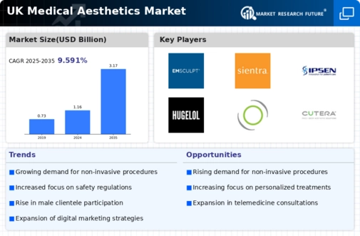 UK Medical Aesthetics Market Infographic