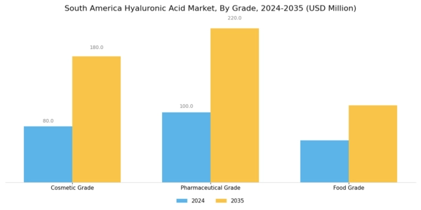 South America Hyaluronic Acid Market Segment Image 0